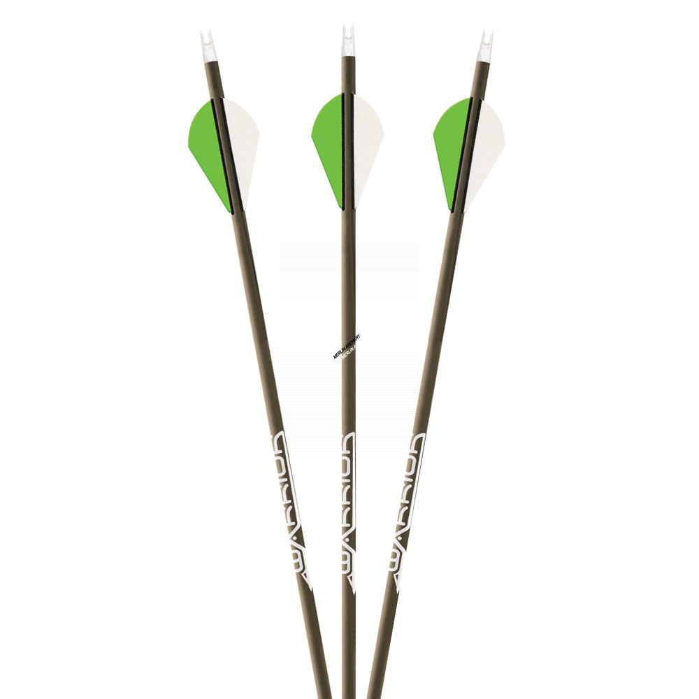 Gold Tip Warrior Arrows - With Vanes