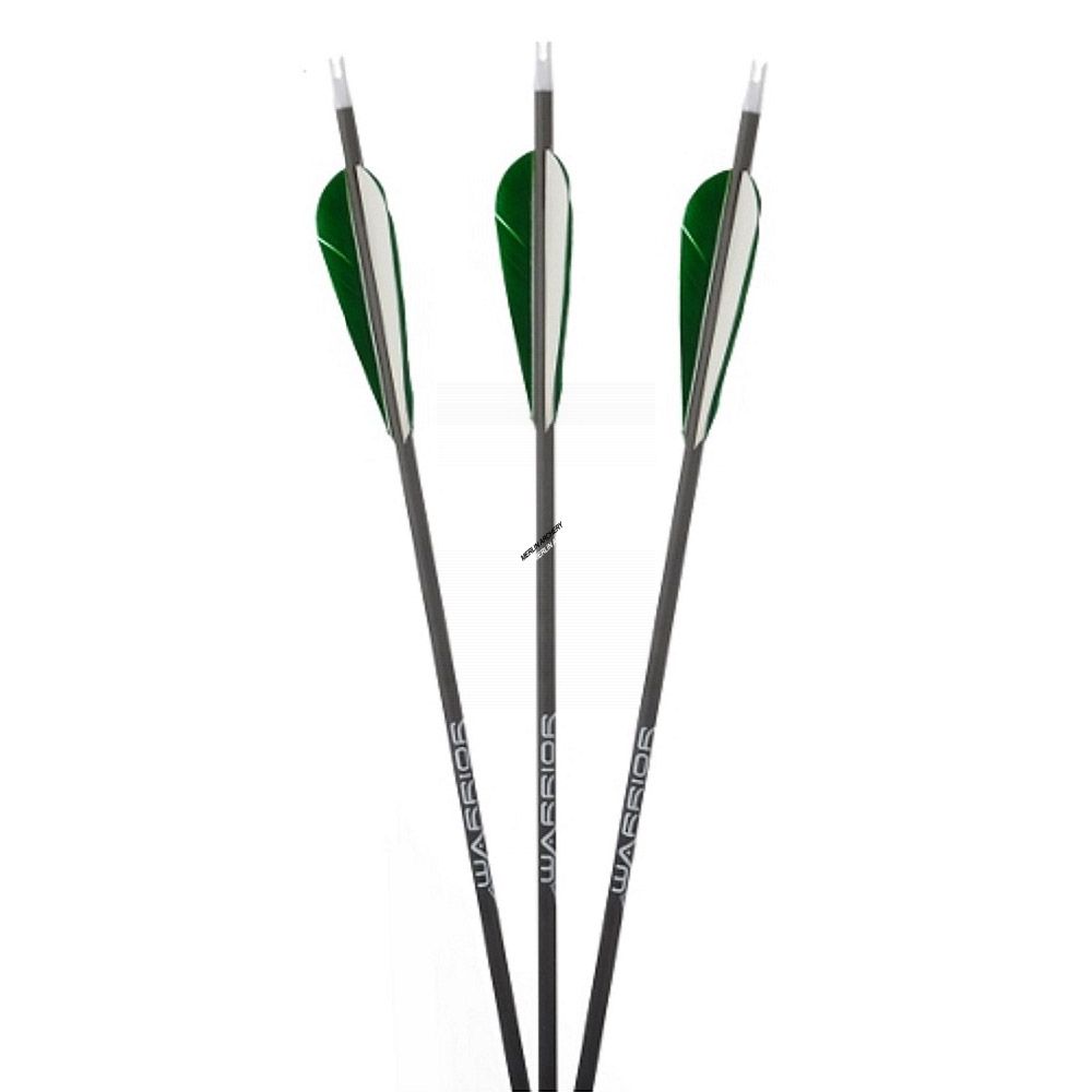 Gold Tip Warrior Arrows - With Feathers