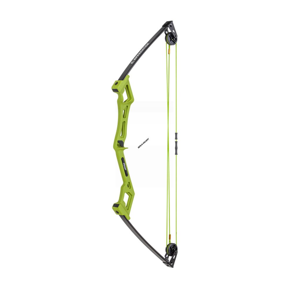 Bear Archery Apprentice Bow Set
