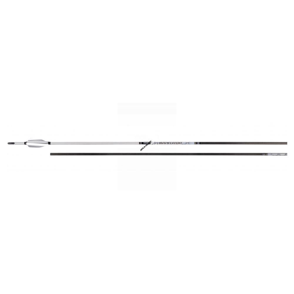 Cross-X Ambition - Silver Edition Arrows - With XS Wings