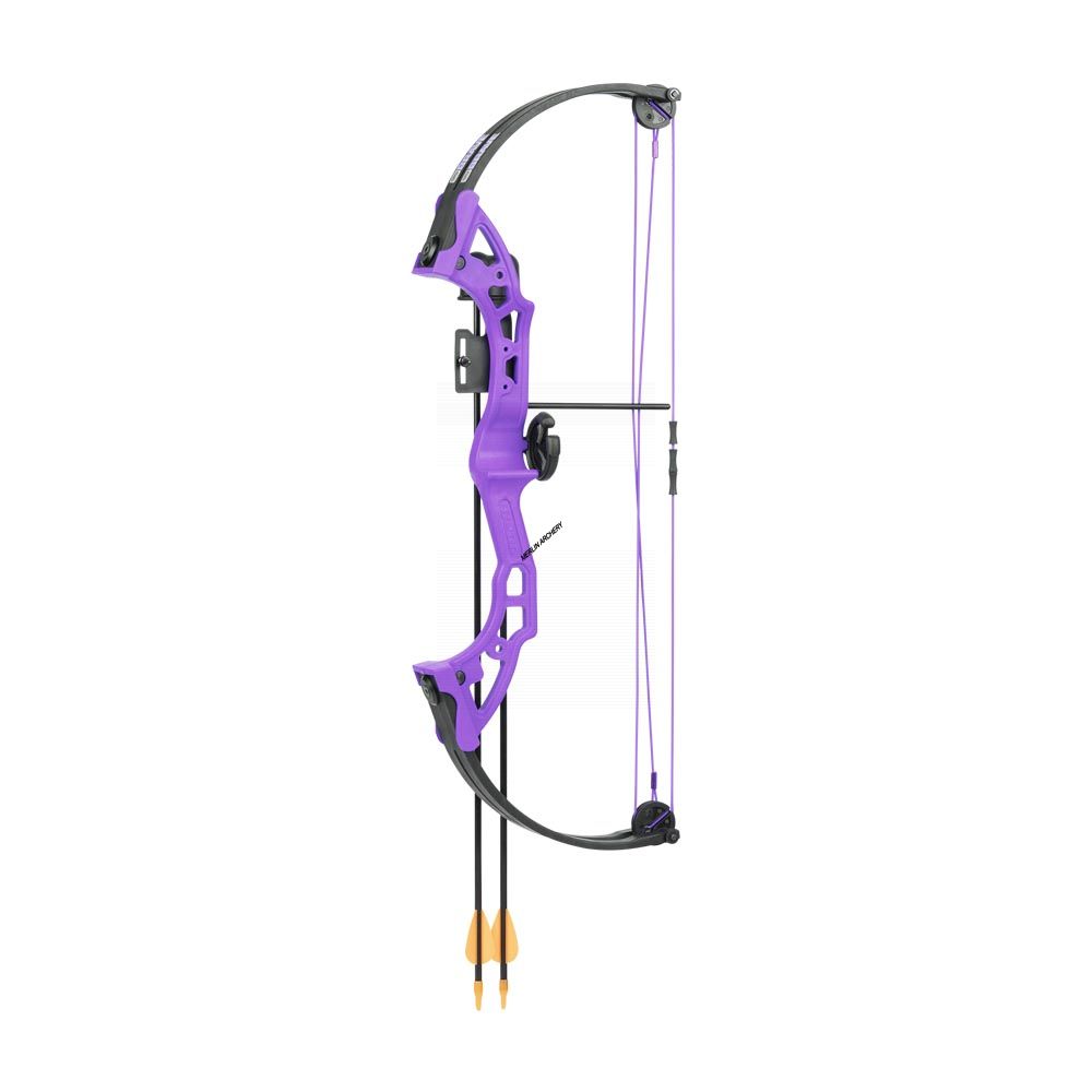 Bear Brave 3 Compound Bow