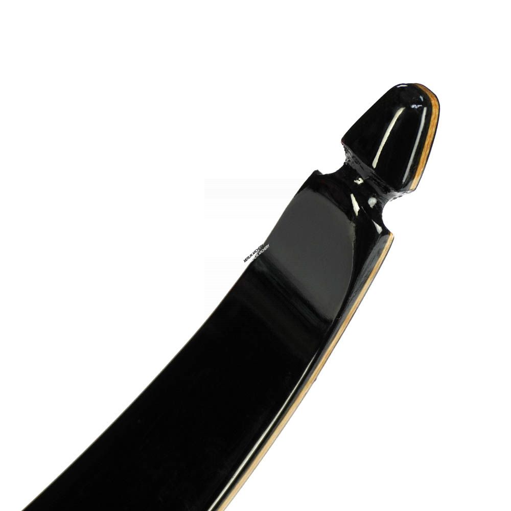  Mybo Nexa Carbon Wood Recurve Limbs