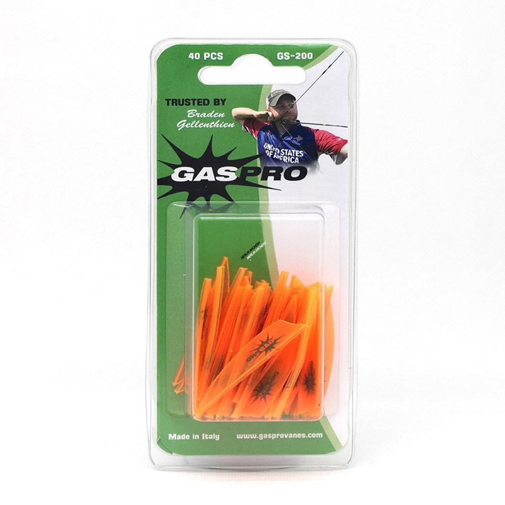  Gas Pro GS-200 Vanes