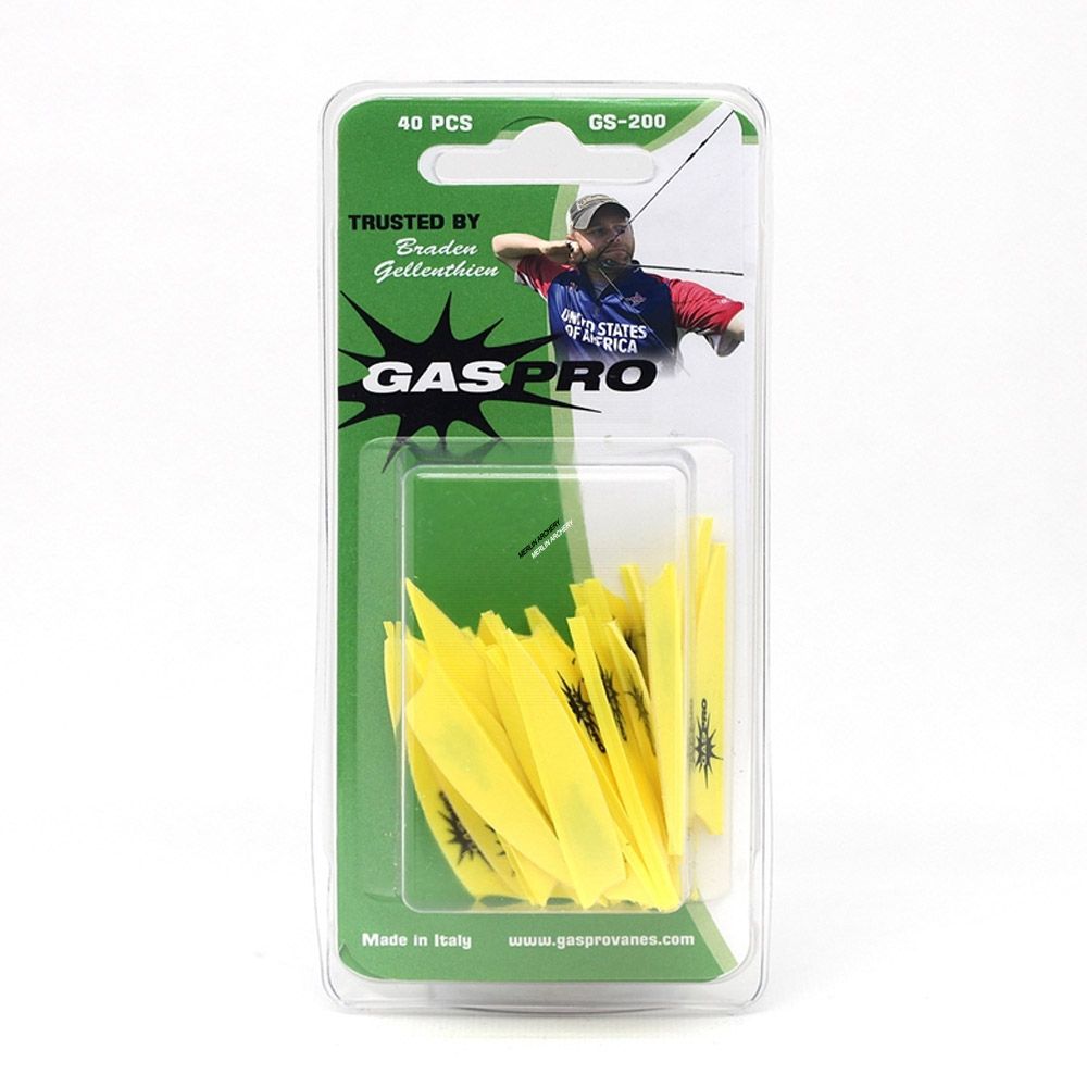 Gas Pro GS-200 Vanes