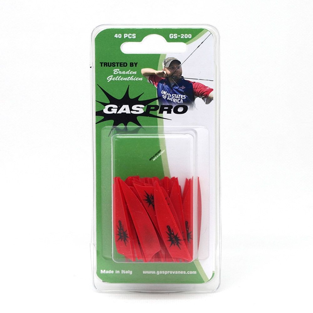  Gas Pro GS-200 Vanes