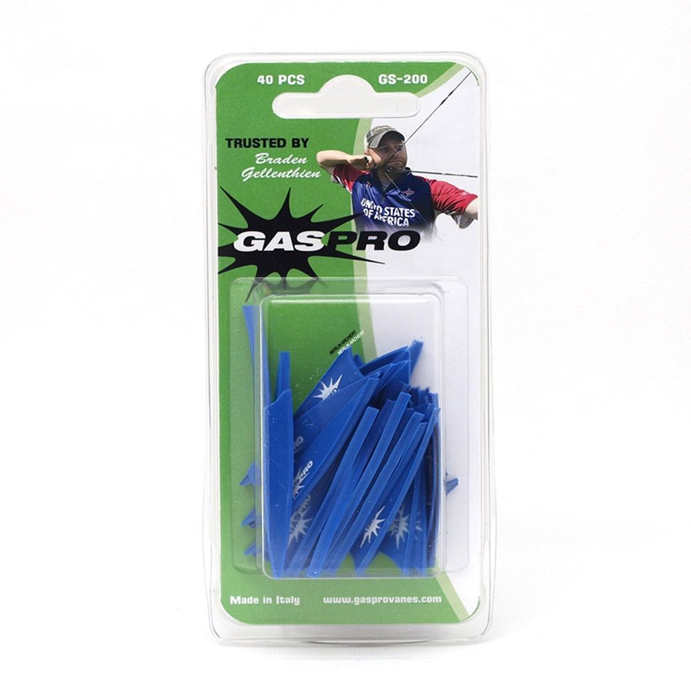  Gas Pro GS-200 Vanes
