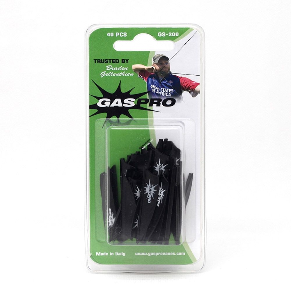  Gas Pro GS-200 Vanes