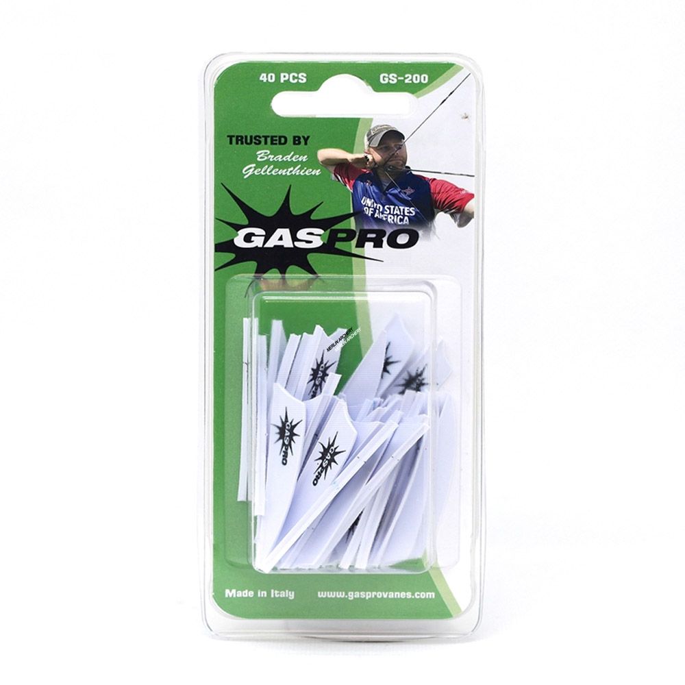  Gas Pro GS-200 Vanes