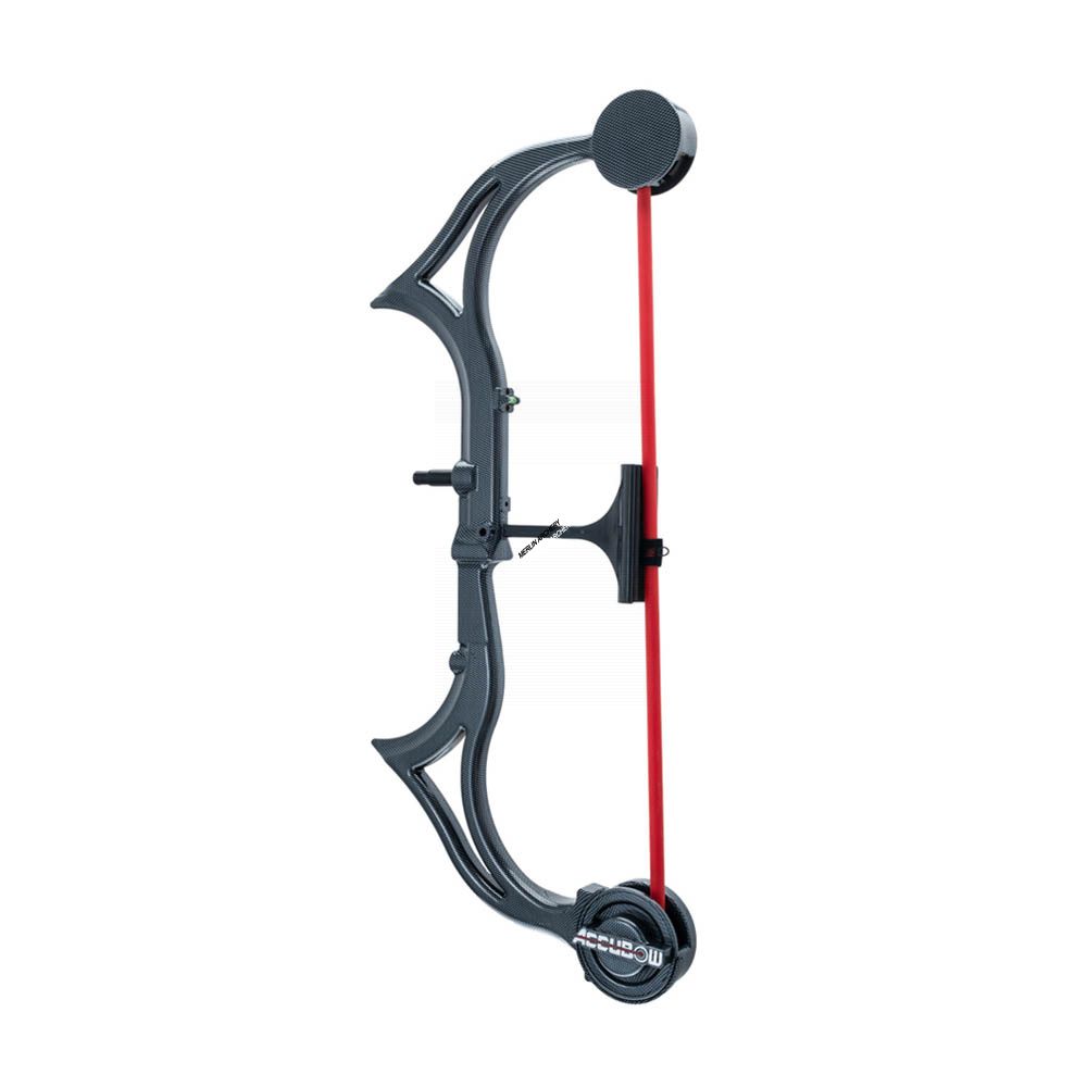  Accubow Trainer