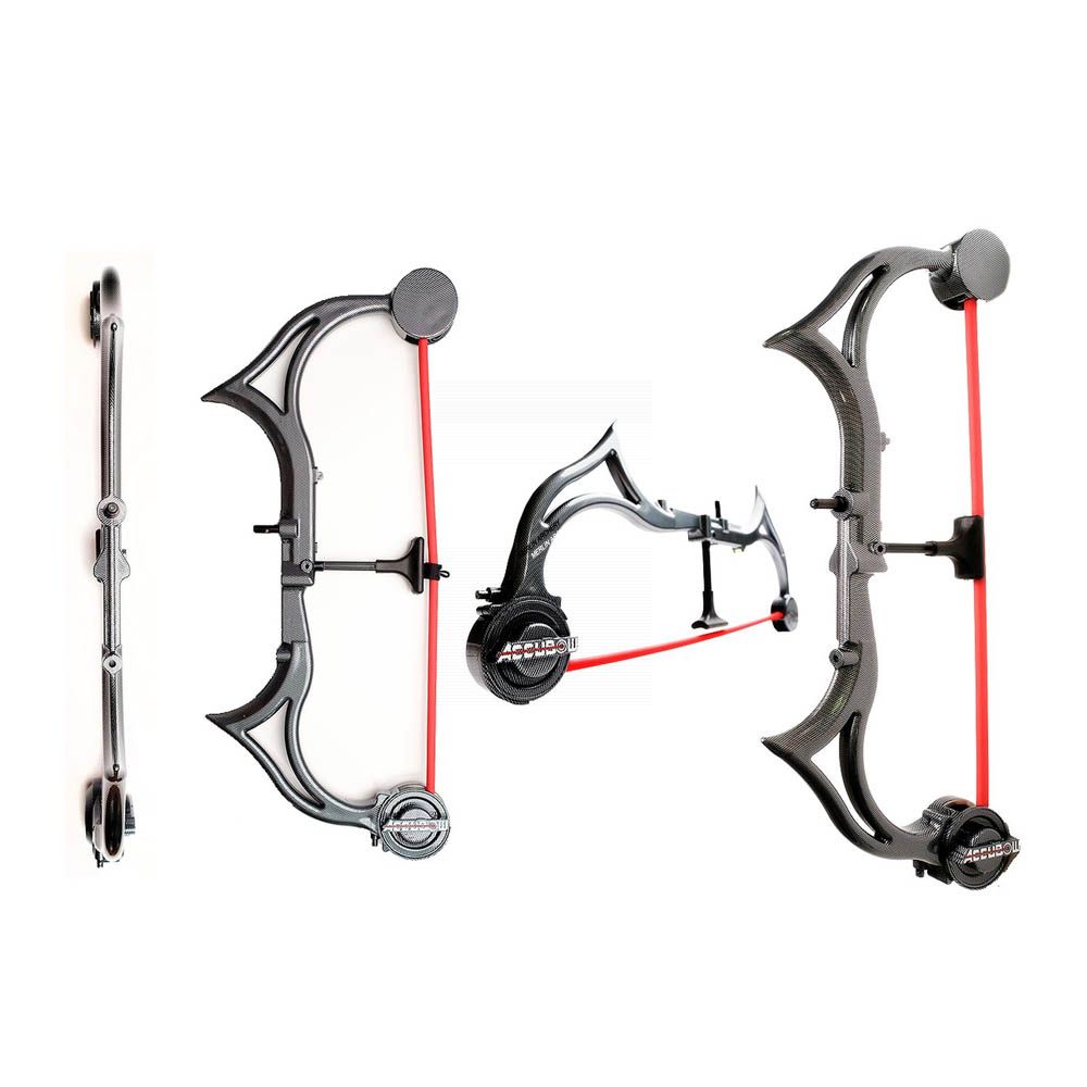  Accubow Trainer