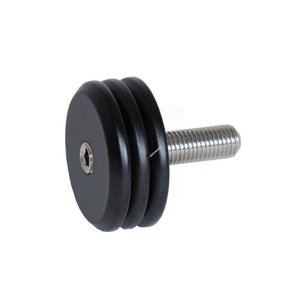  Bee Stinger Weights