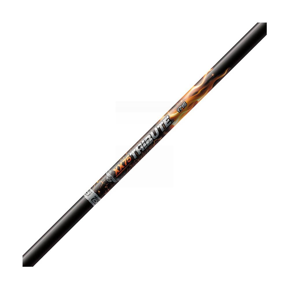  Easton Tribute Arrows