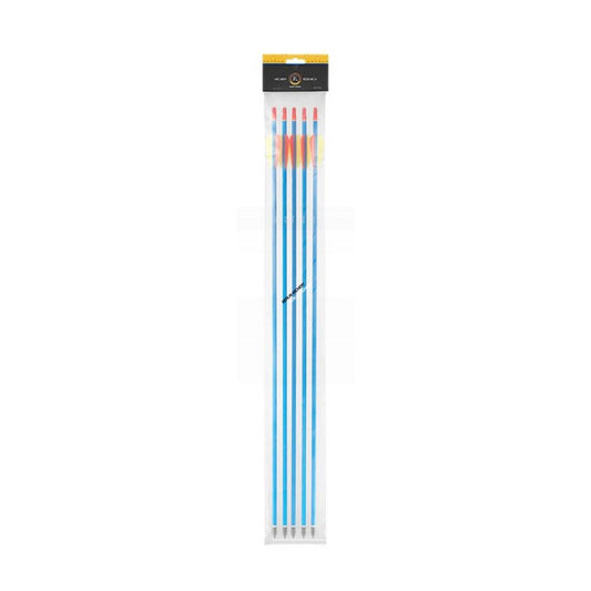  EK Archery Aluminium Arrows