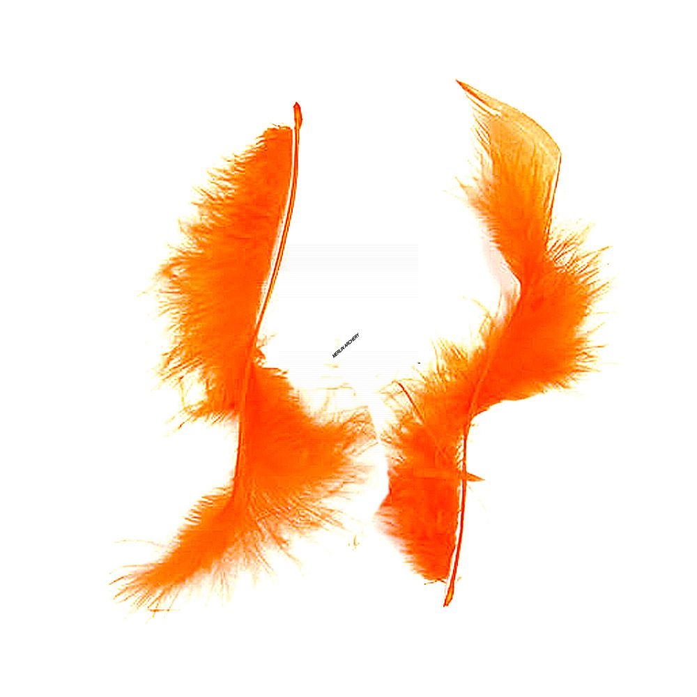  Gateway Feather Tracer