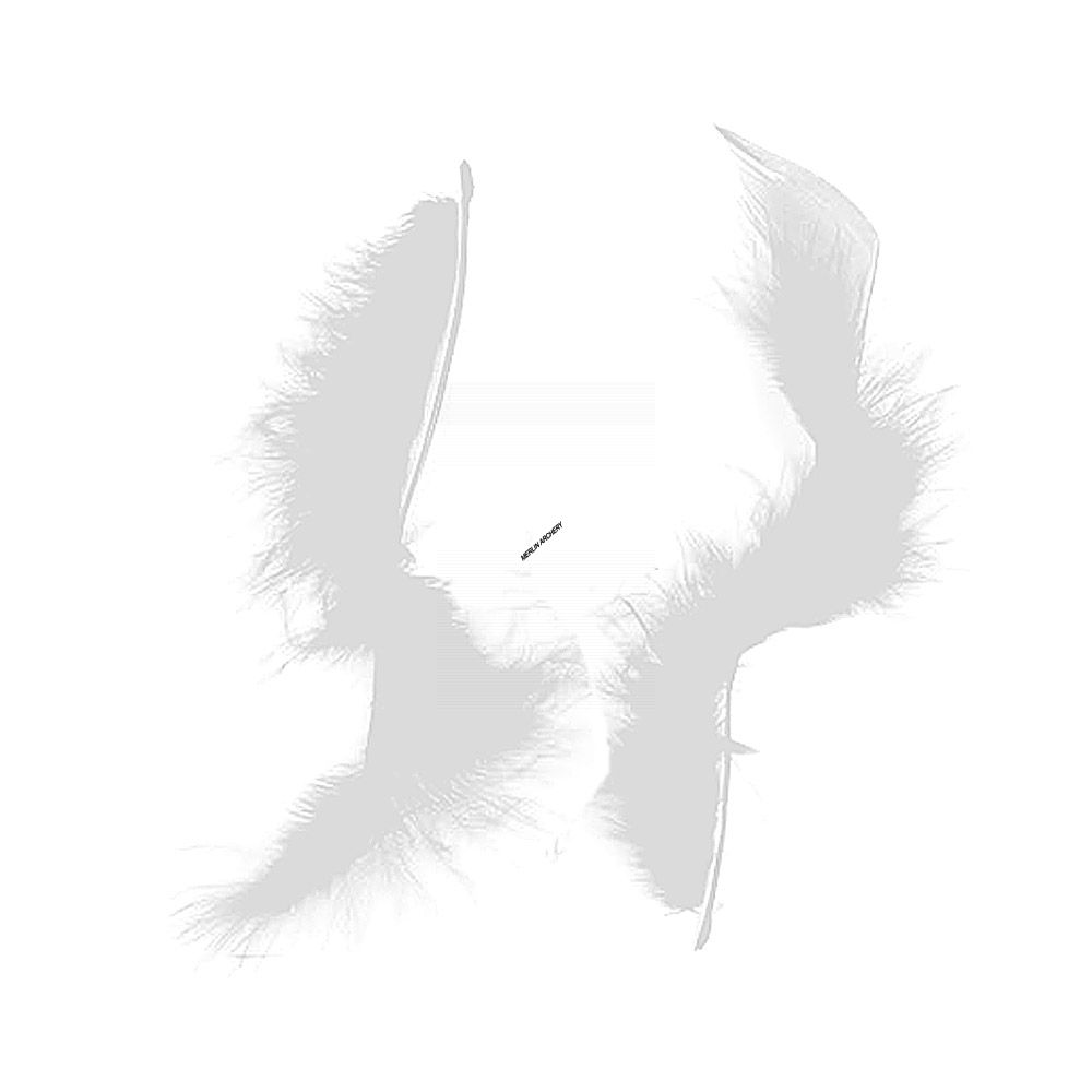  Gateway Feather Tracer