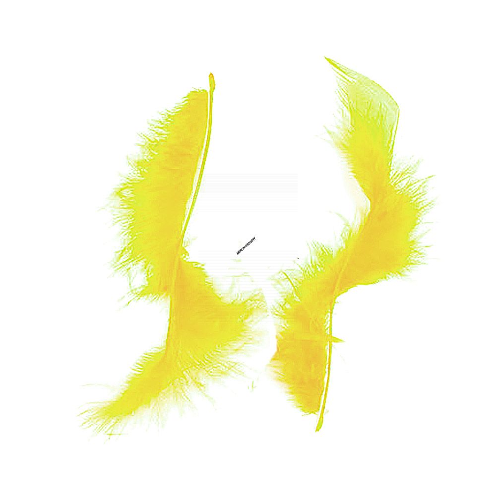  Gateway Feather Tracer