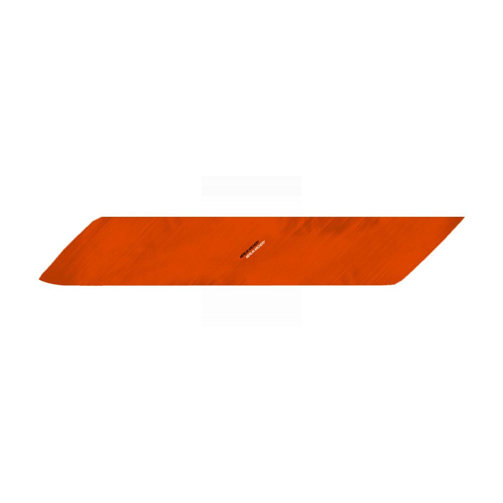 Gateway Feathers - Right Wing - Full Length