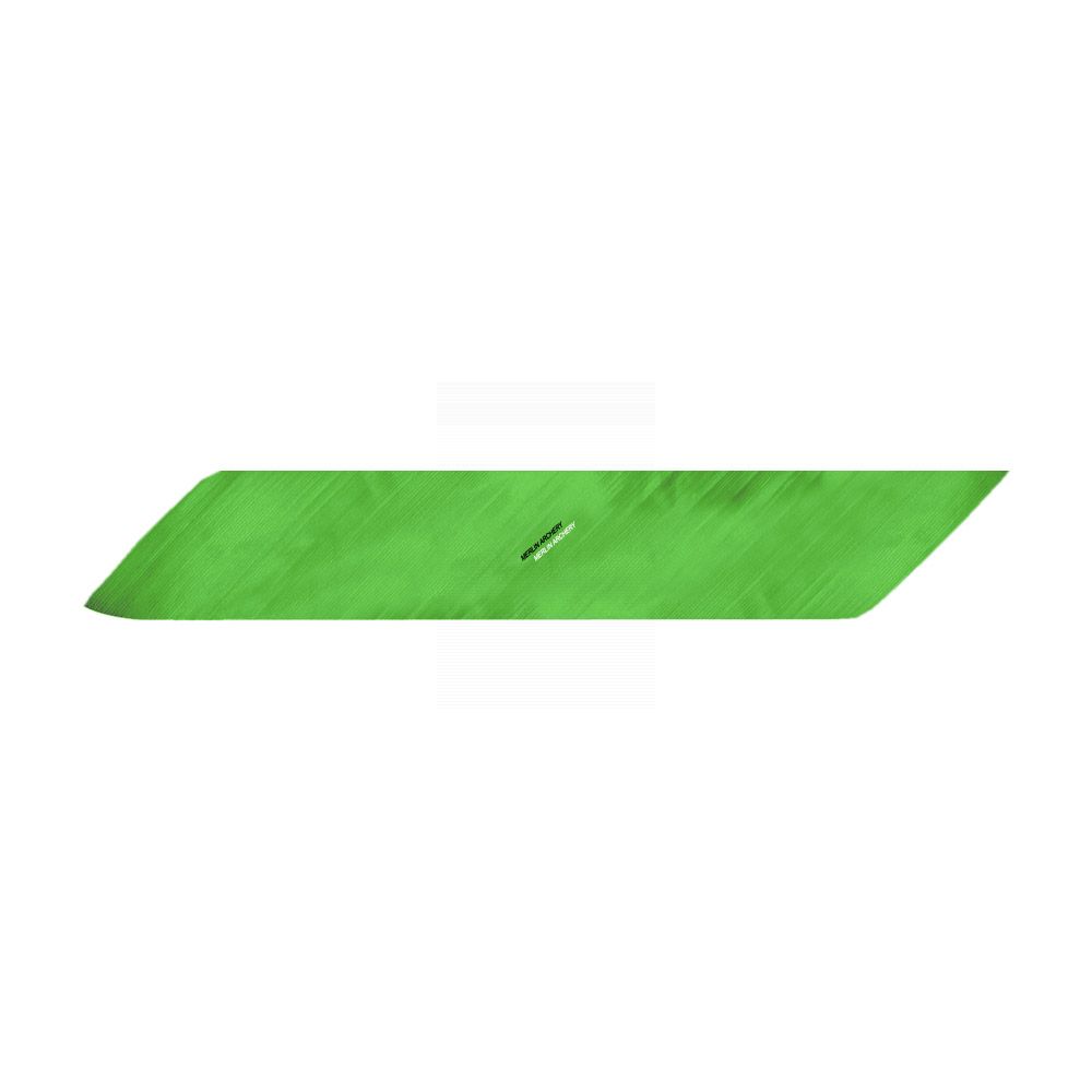 Gateway Feathers - Right Wing - Full Length