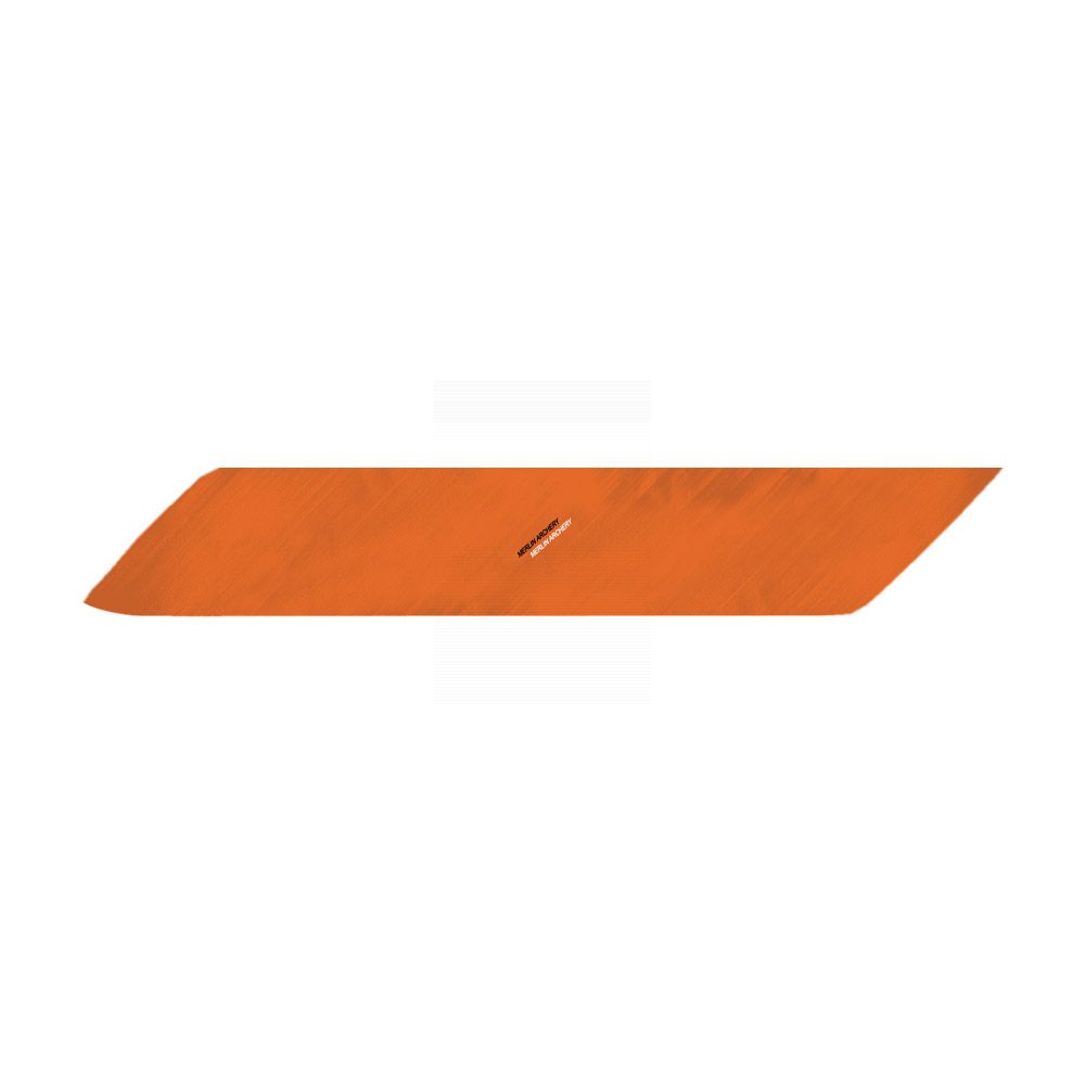  Gateway Feathers - Right Wing - Full Length