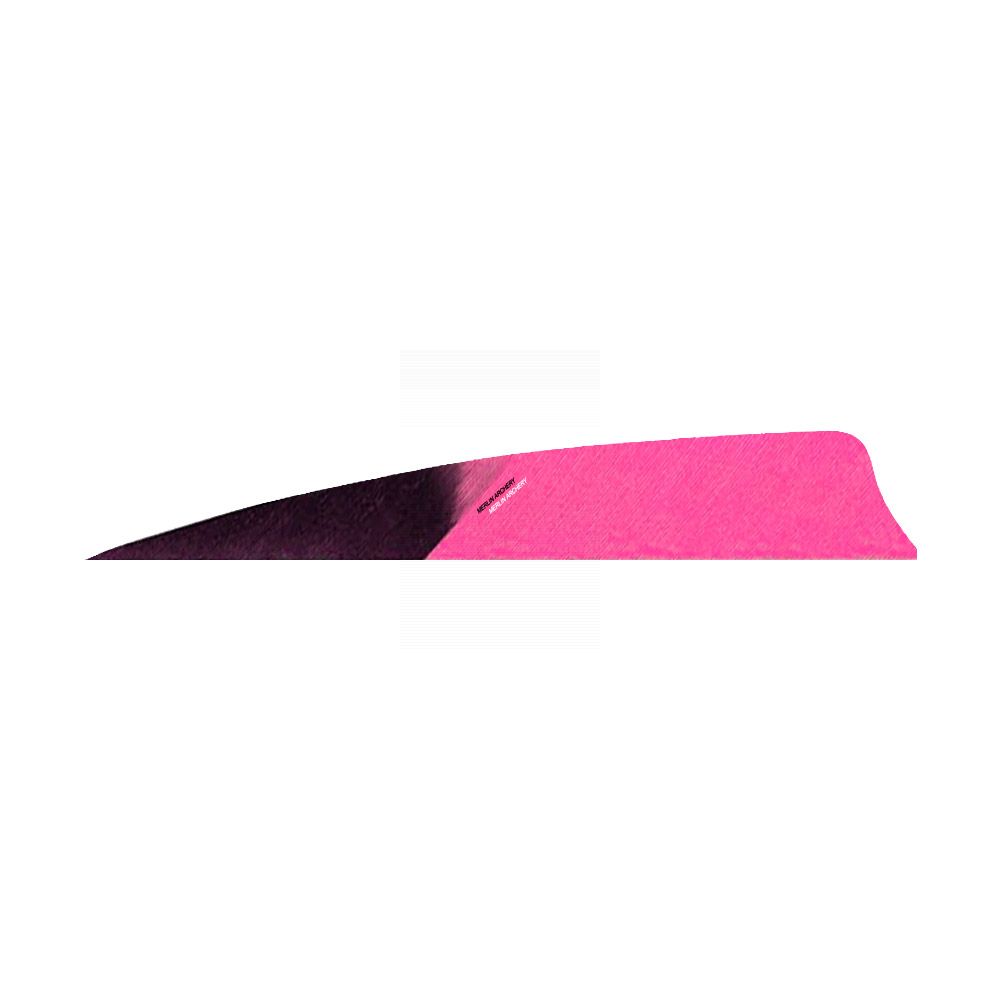  Gateway Feathers - Right Wing - 5'' Shield - HB Kuro