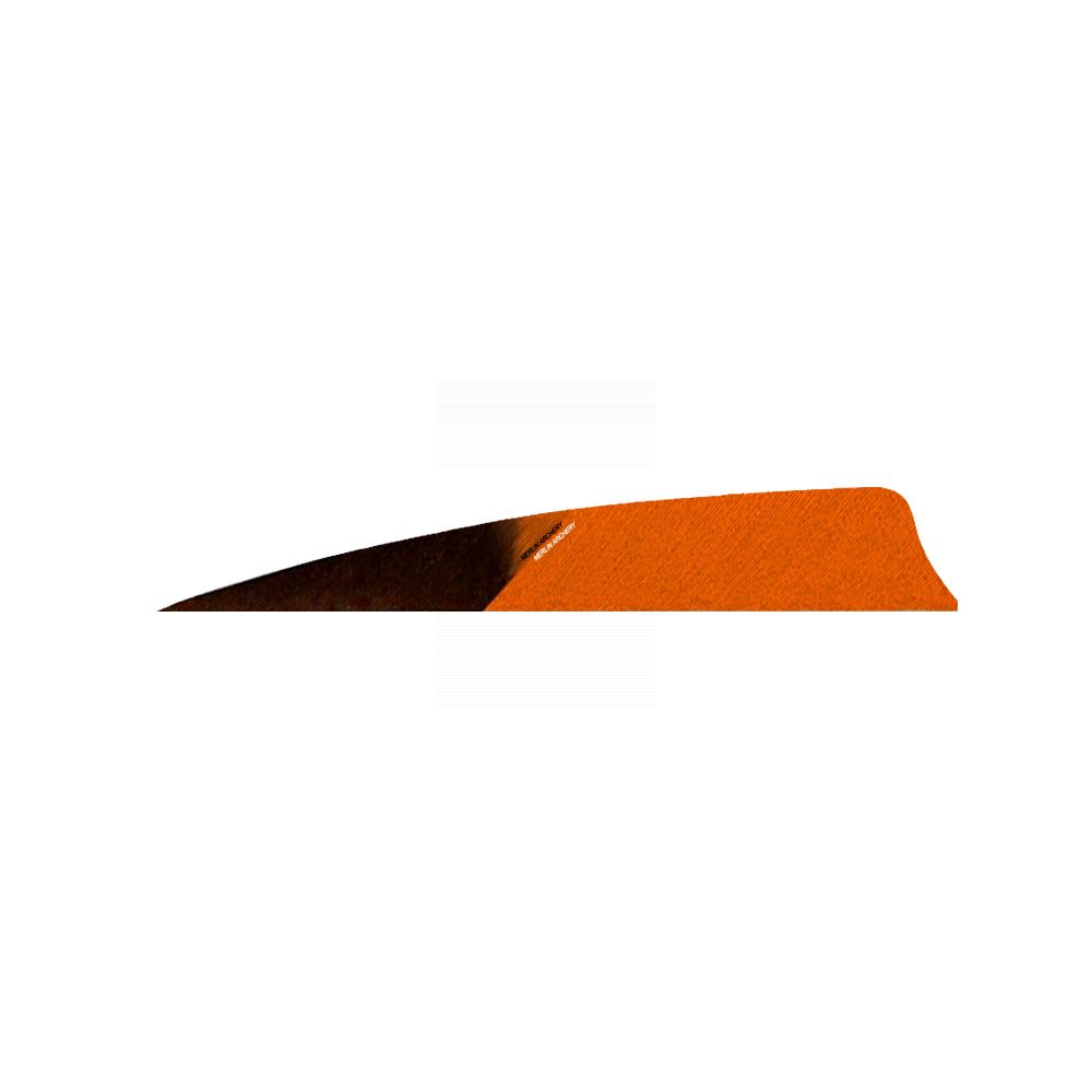  Gateway Feathers - Right Wing - 4'' Shield - HB Kuro