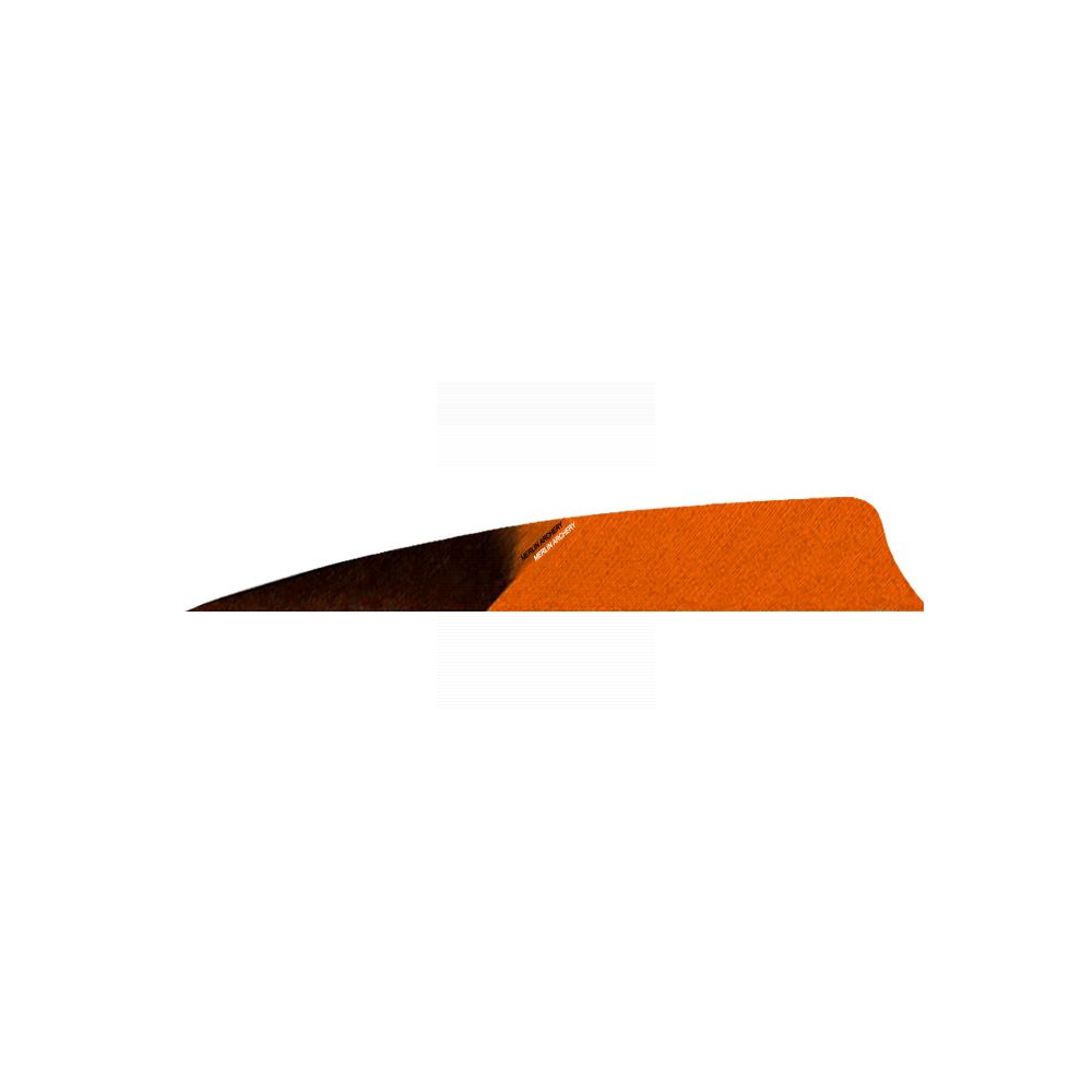 Gateway Feathers - Right Wing - 3'' Shield - HB Kuro