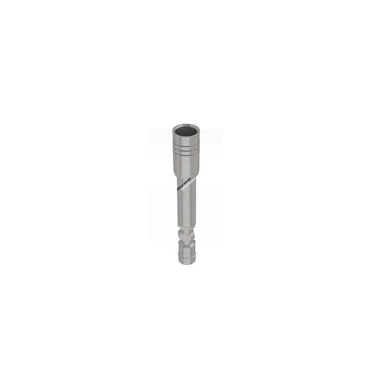  Gold Tip Stainless Insert .204