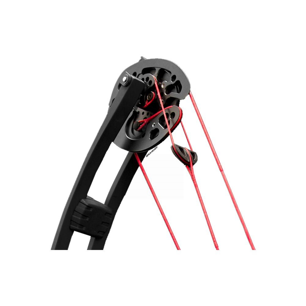  Win Win Arion DX Compound Bow
