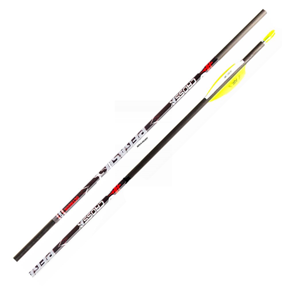  Cross-X Pegasus Octagon Arrows